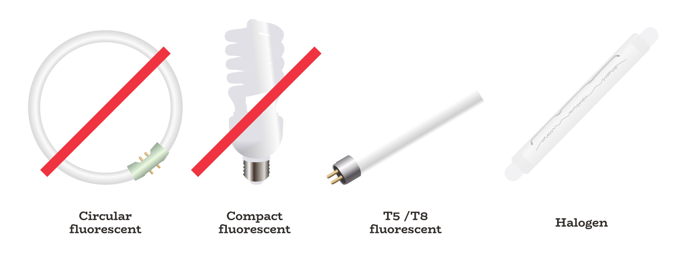 From left to right, circular fluorescent lamp, compact fluorescent lamp, T5/T8 fluorescent tube, halogen lamp.